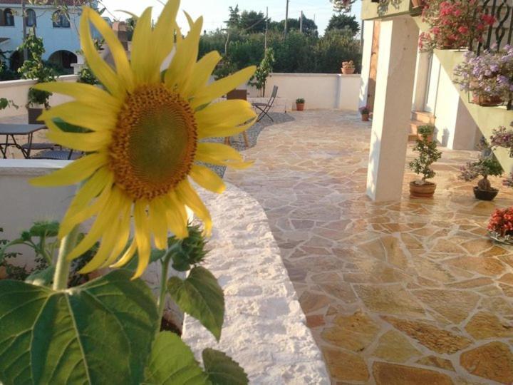 Art Rooms Joyful People Alberobello Eksteriør billede